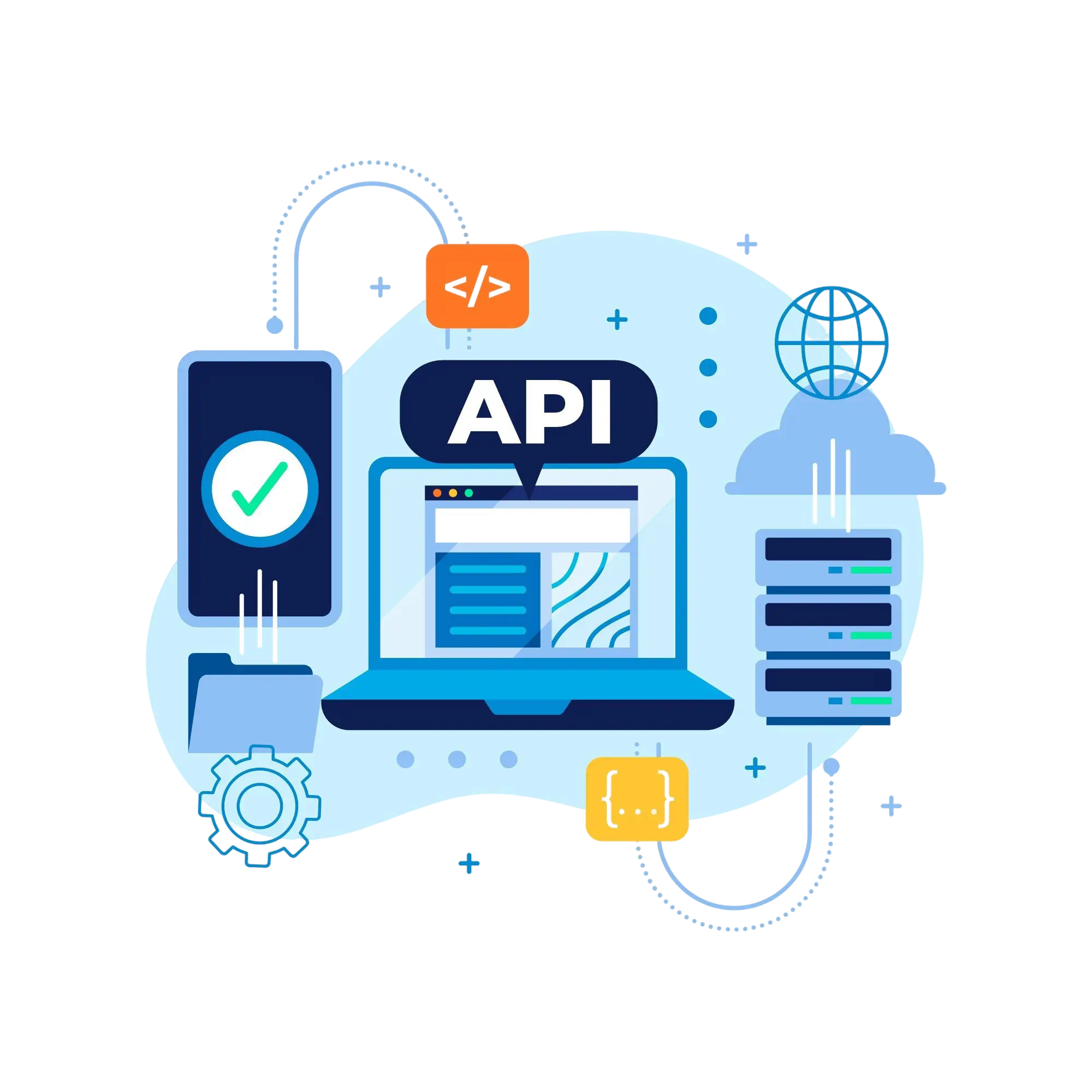 Custom API Integration
