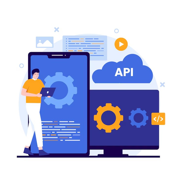 Custom API Integration