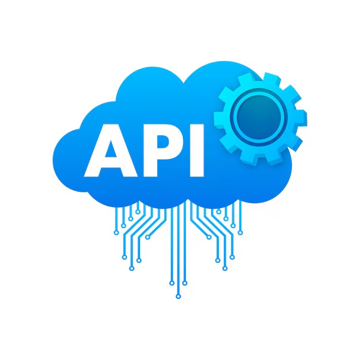 Custom API Integration