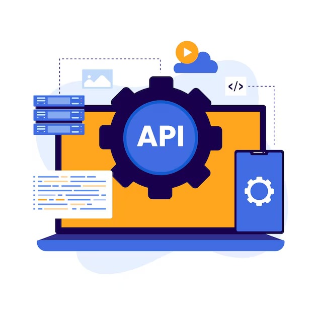 Custom API Integration